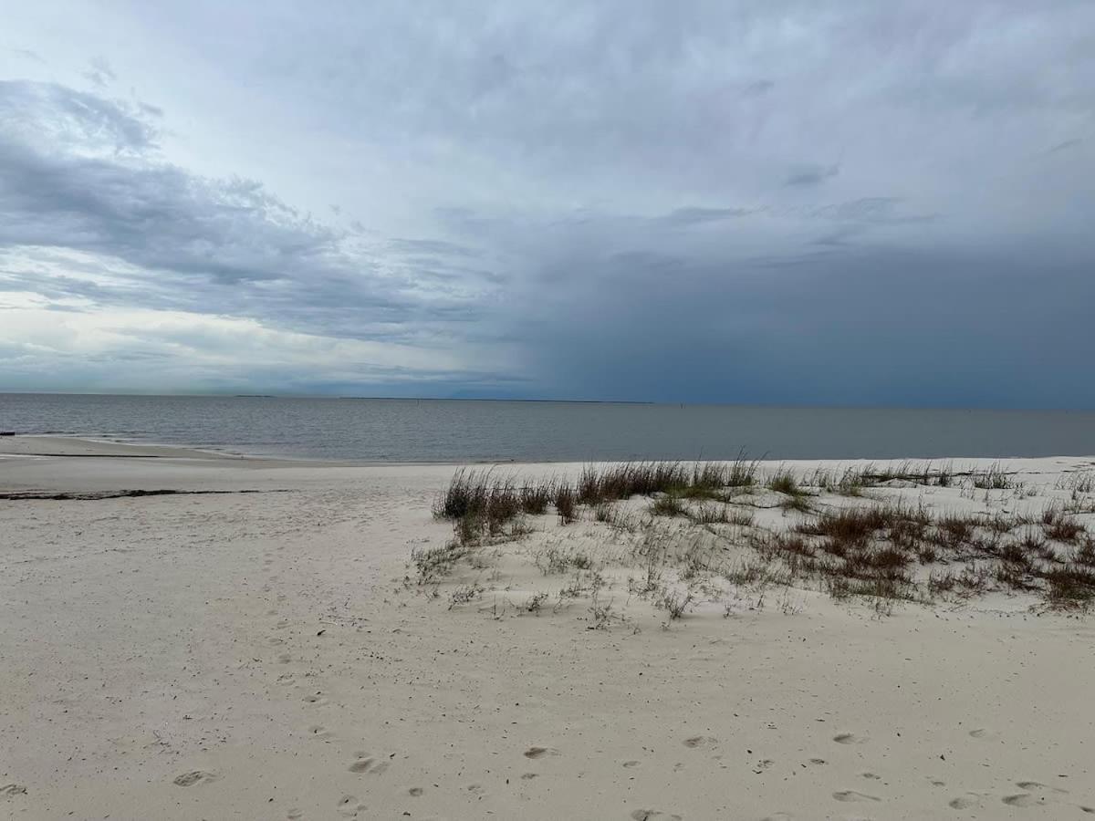 Bare Feet Bungalow -Close To Beach & Dog Friendly Gulfport Kültér fotó