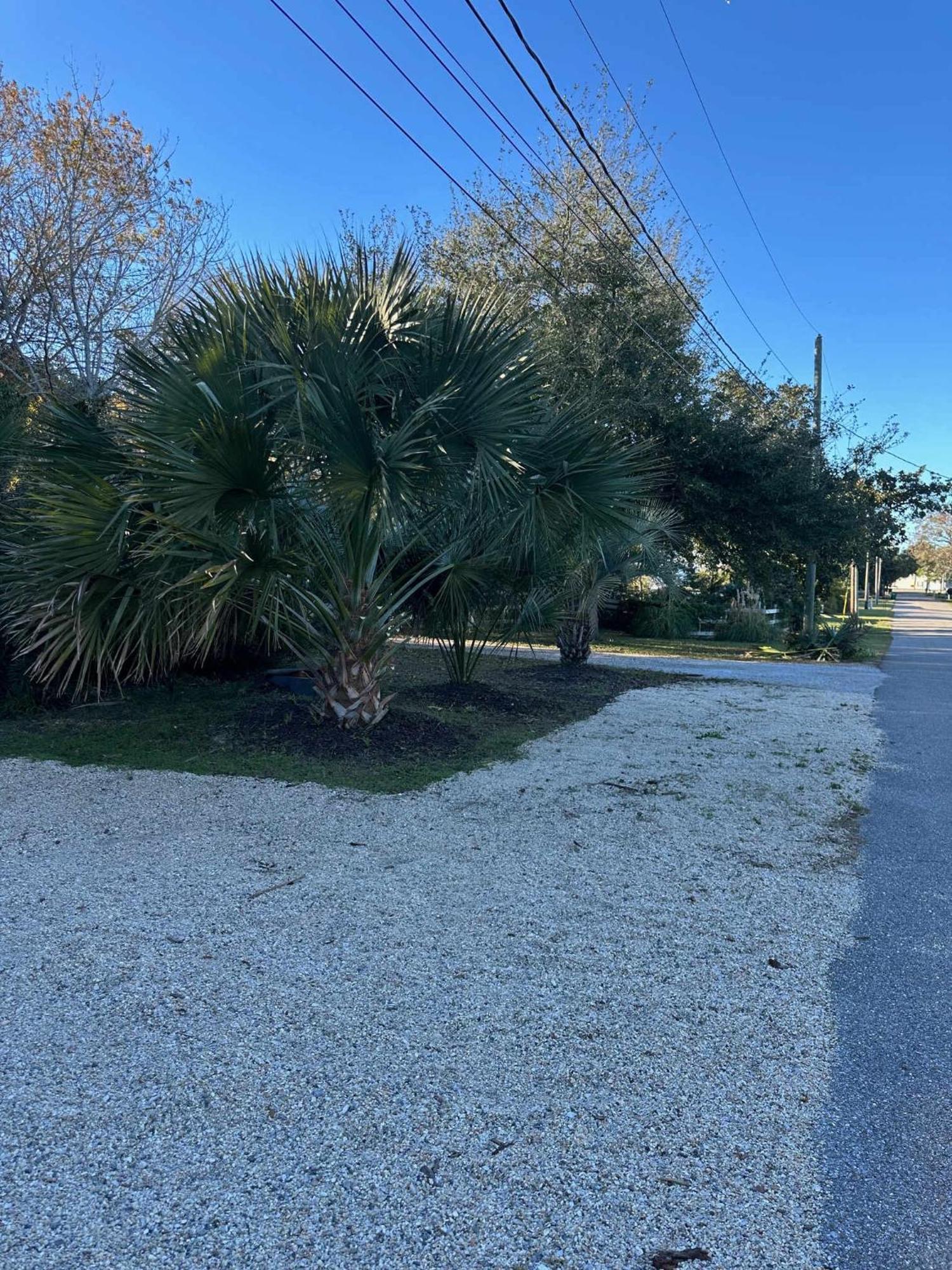 Bare Feet Bungalow -Close To Beach & Dog Friendly Gulfport Kültér fotó